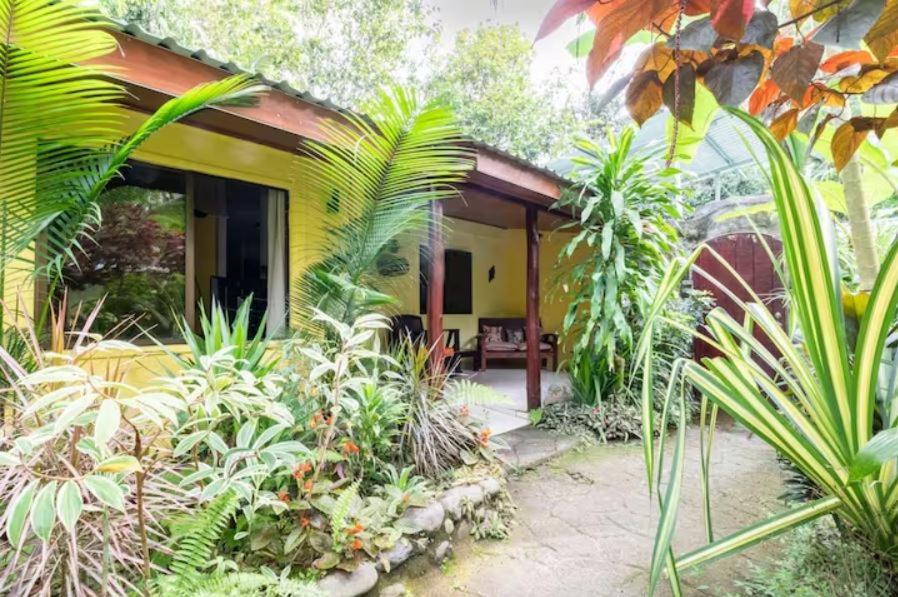 Hotel Casa Caribbean Coconut Cahuita Exteriér fotografie